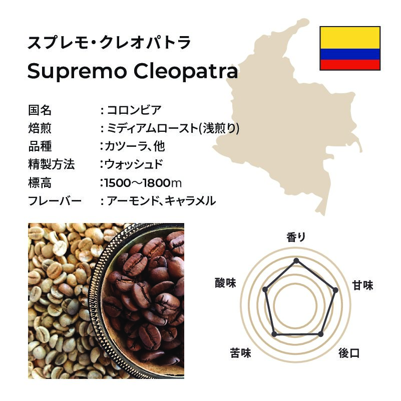 クレオパトラ EC